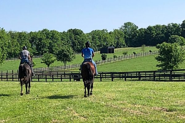 2 riders med range mod